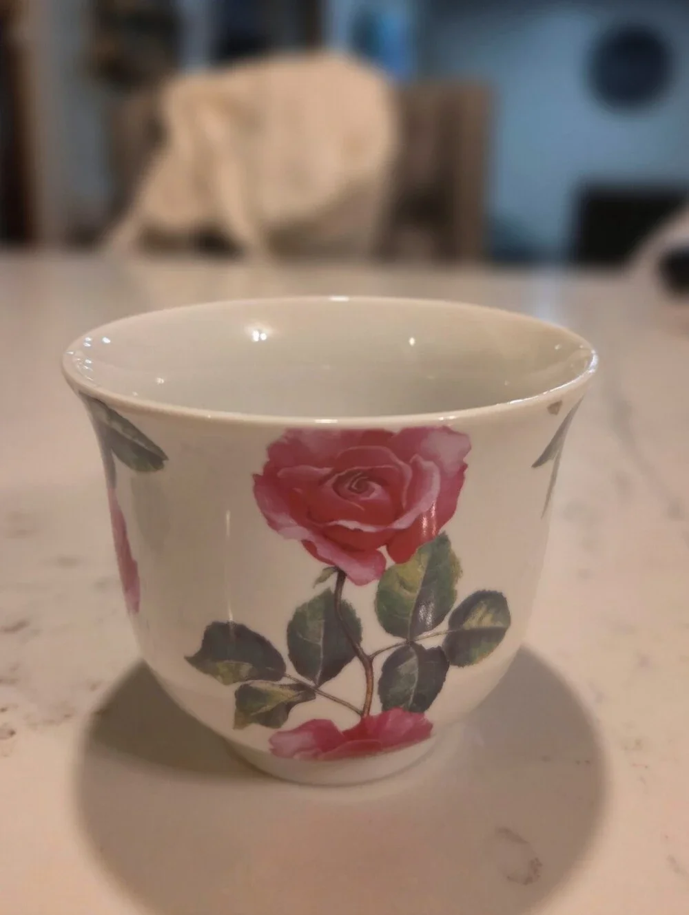 Kent Pottery Tea Cup Saucer Set Rose Pink Red Floral Cottagecore Bridgerton Chic